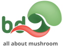 BD Mushroom