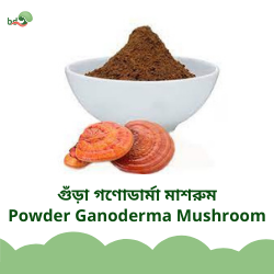 powder ganoderma